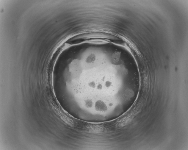 X0000086781023200704131209