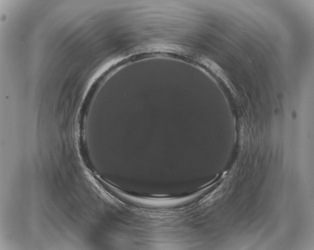 X0000086781024200704131209