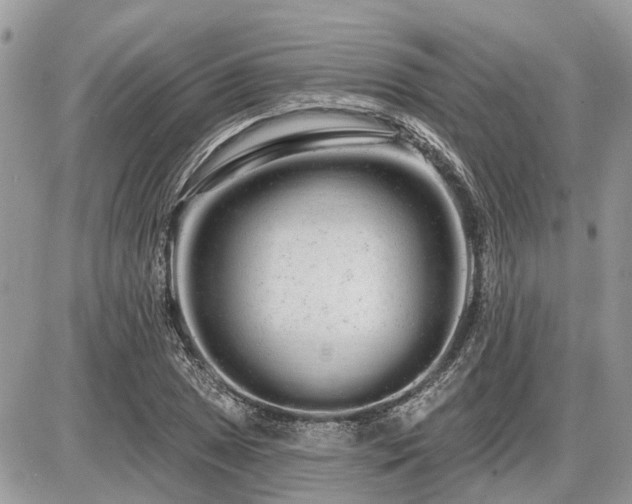 X0000086781025200704131209