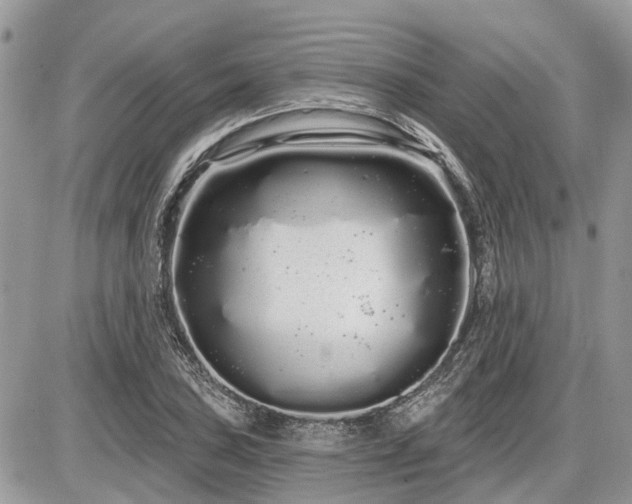 X0000086781027200704131209