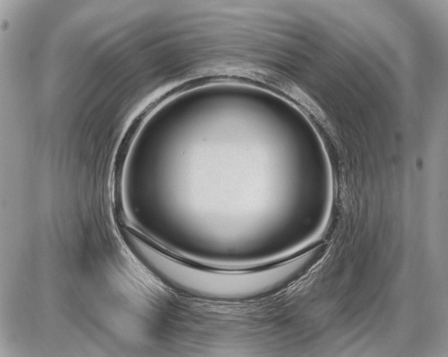 X0000086781028200704131209