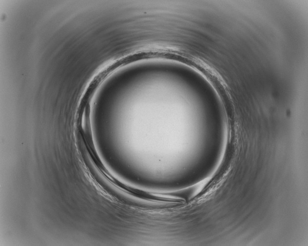 X0000086781029200704131209