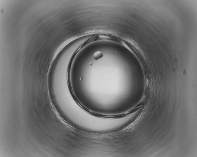 X0000086781030200704131209