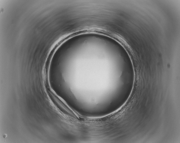 X0000086781032200704131209