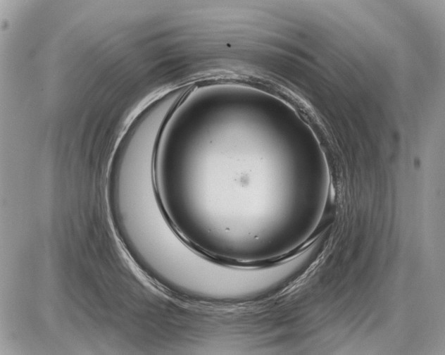 X0000086781034200704131209