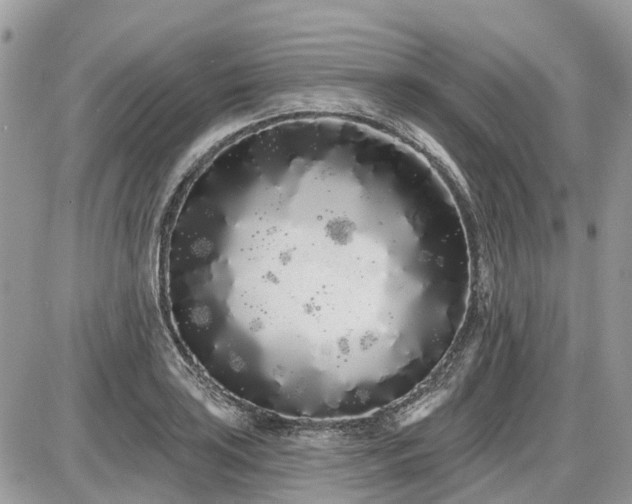 X0000086781035200704131209