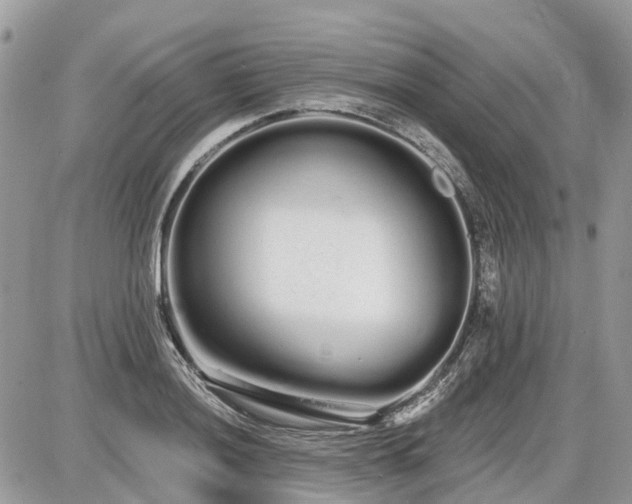 X0000086781036200704131209