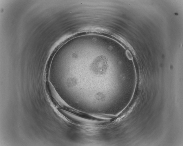 X0000086781037200704131209