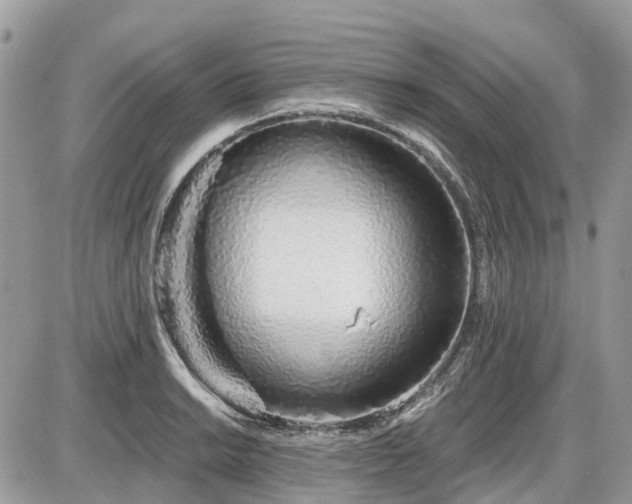 X0000086781038200704131209