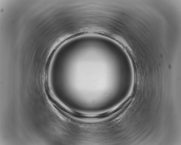 X0000086781040200704131209