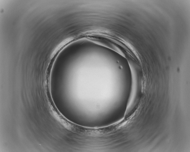 X0000086781042200704131209