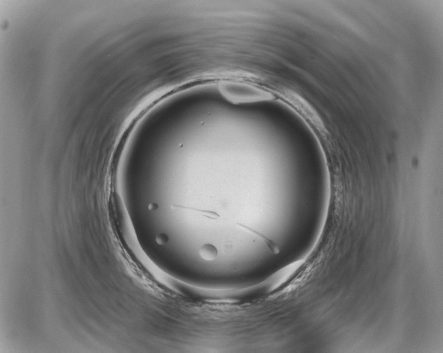 X0000086781044200704131209