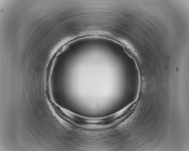 X0000086781046200704131209