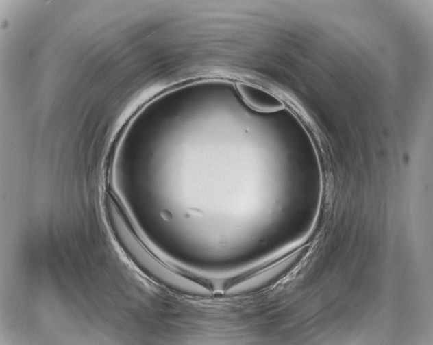 X0000086781048200704131209