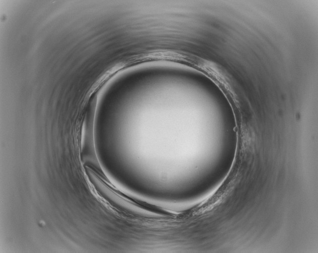 X0000086781049200704131209