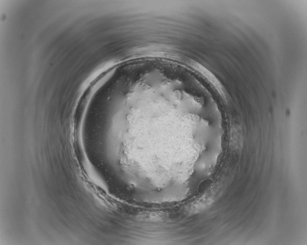 X0000086781051200704131209