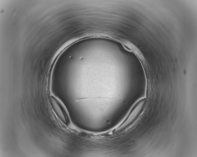 X0000086781052200704131209