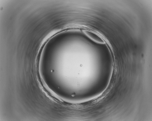 X0000086781053200704131209