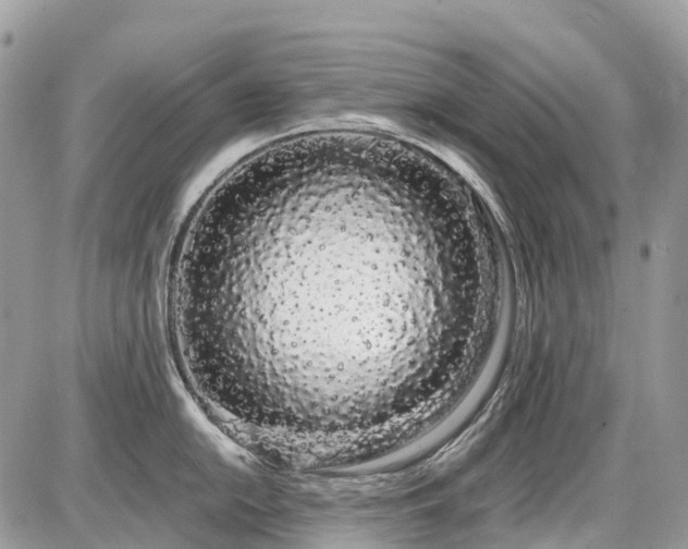 X0000086781054200704131209