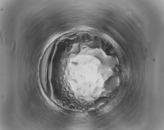 X0000086781055200704131209