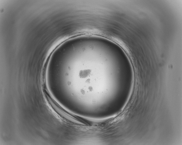 X0000086781056200704131209