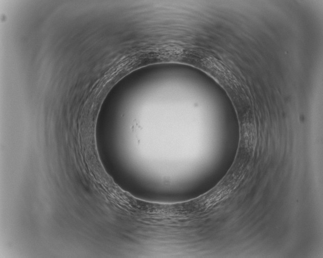 X0000086781057200704131209