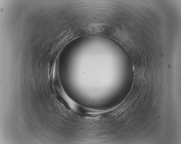 X0000086781058200704131209