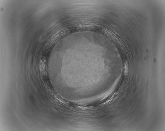 X0000086781059200704131208