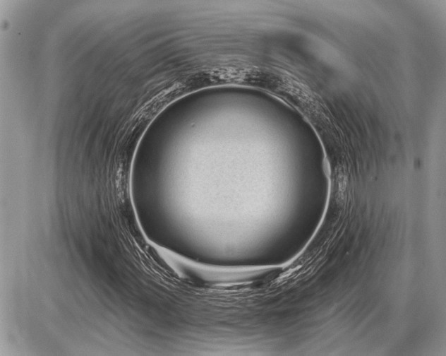 X0000086781060200704131208