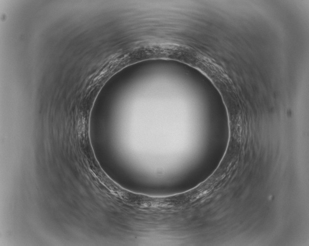 X0000086781061200704131208