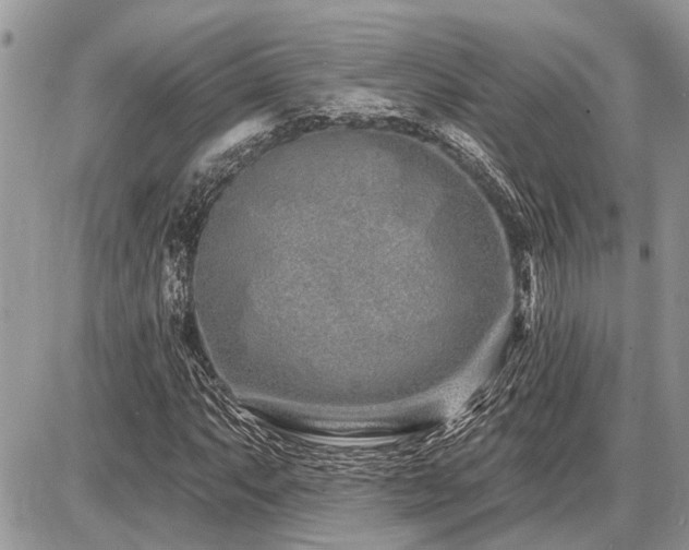 X0000086781063200704131208