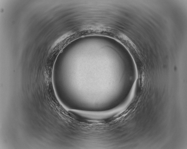 X0000086781064200704131208