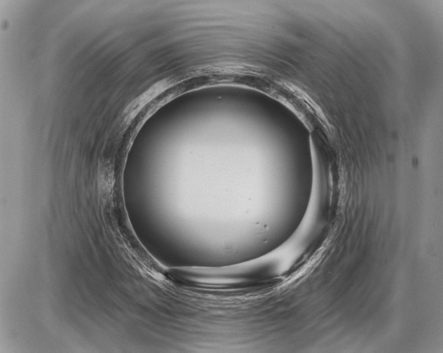 X0000086781065200704131208