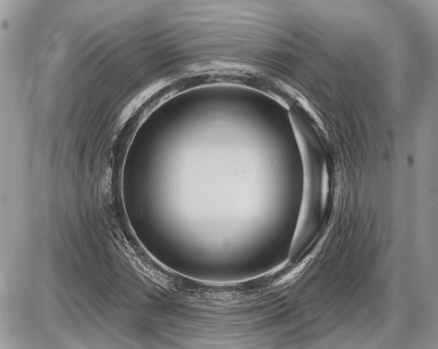 X0000086781066200704131208