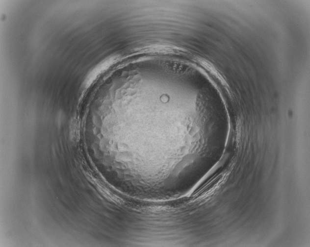 X0000086781067200704131208