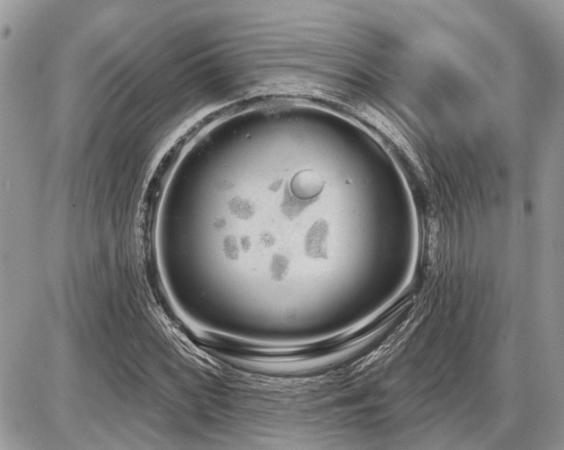 X0000086781068200704131208