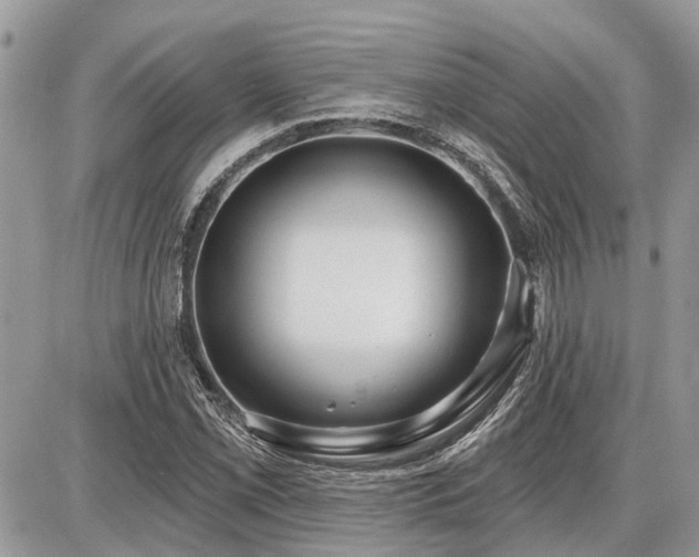 X0000086781069200704131208