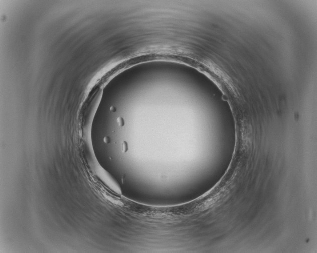 X0000086781070200704131208