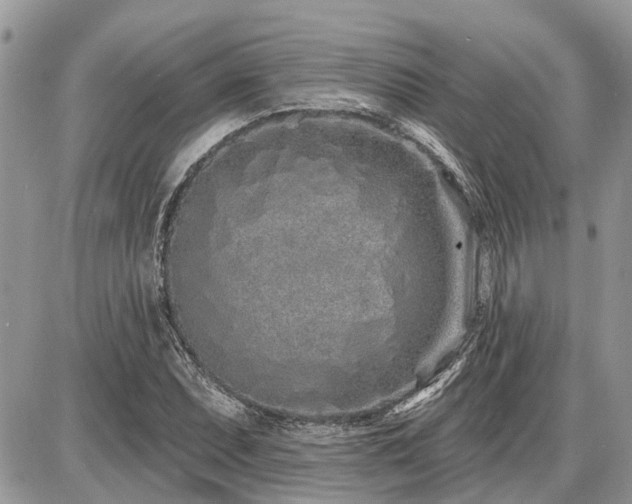 X0000086781071200704131208