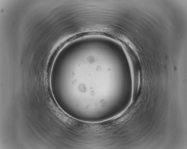 X0000086781072200704131208