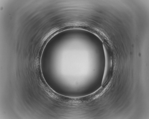 X0000086781073200704131208