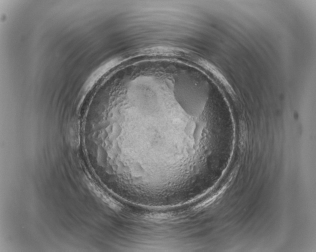 X0000086781075200704131208