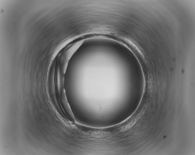 X0000086781077200704131208