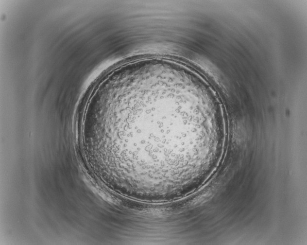 X0000086781078200704131208