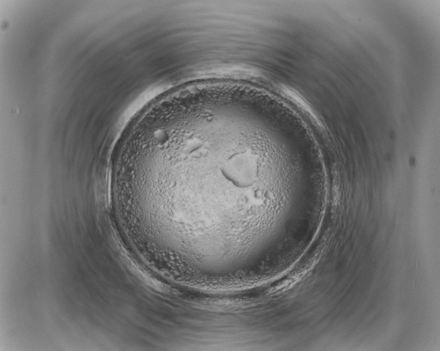 X0000086781079200704131208