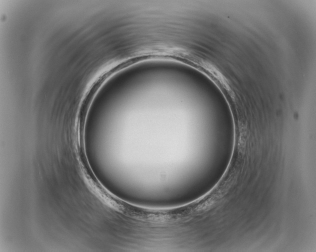 X0000086781080200704131208