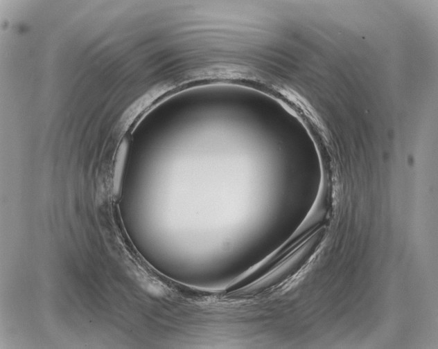 X0000086781081200704131208