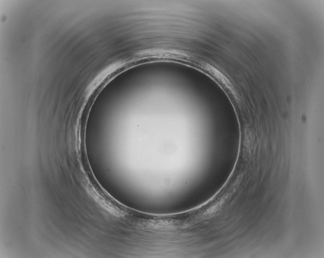 X0000086781082200704131208