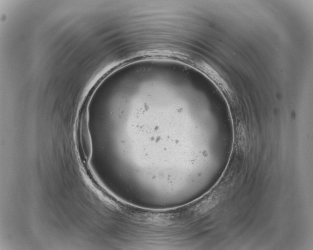 X0000086781084200704131208