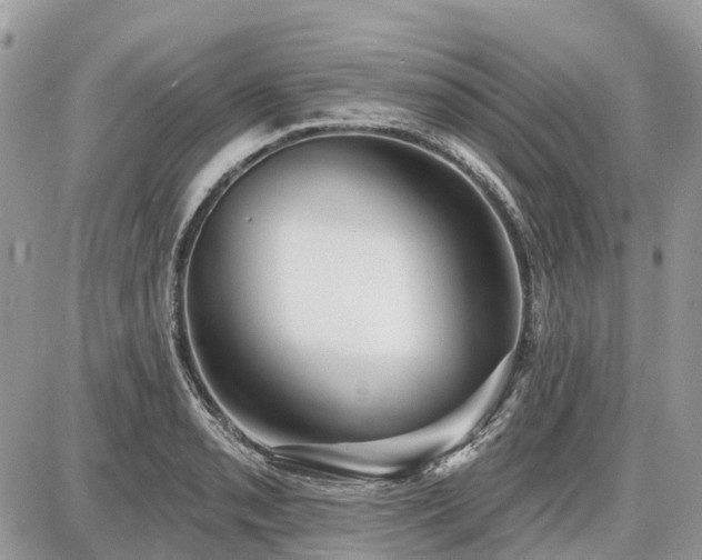 X0000086781085200704131208